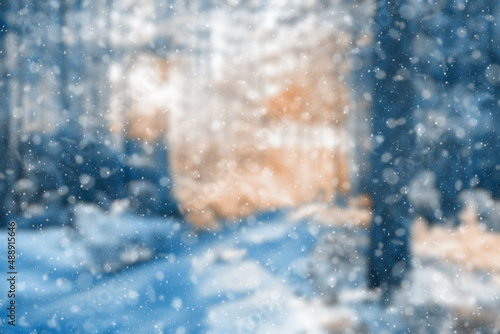  blurred winter forest © vlntn