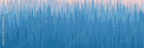 Coniferous forest in the morning haze, banner