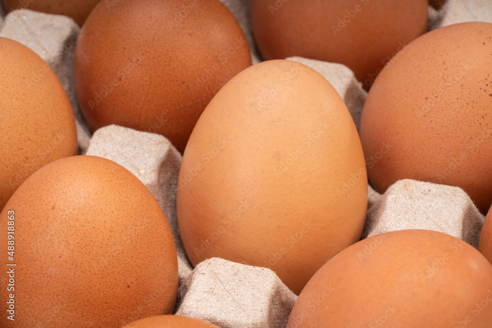 Fresh Chicken eggs in carton box on wooden table. Egg in cardboard box ready to sell. Fresh Chicken eggs in carton box on wooden table. Egg in cardboard box ready to sell.