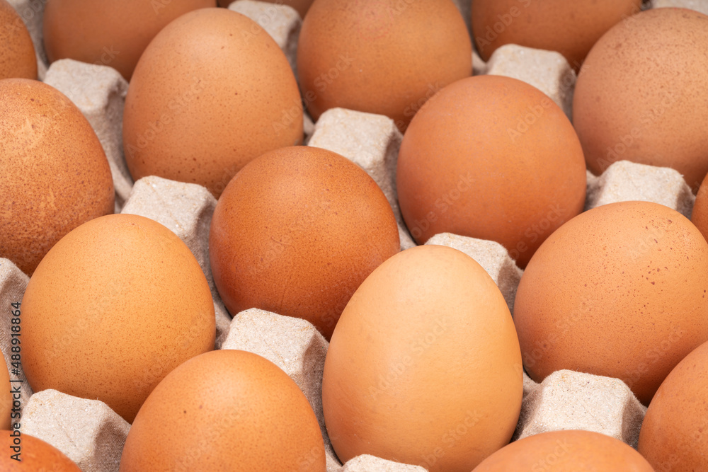 Fresh Chicken eggs in carton box on wooden table. Egg in cardboard box ready to sell. Fresh Chicken eggs in carton box on wooden table. Egg in cardboard box ready to sell.