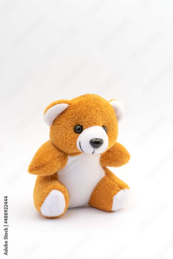 Obraz premium Cute teddy bear on white background