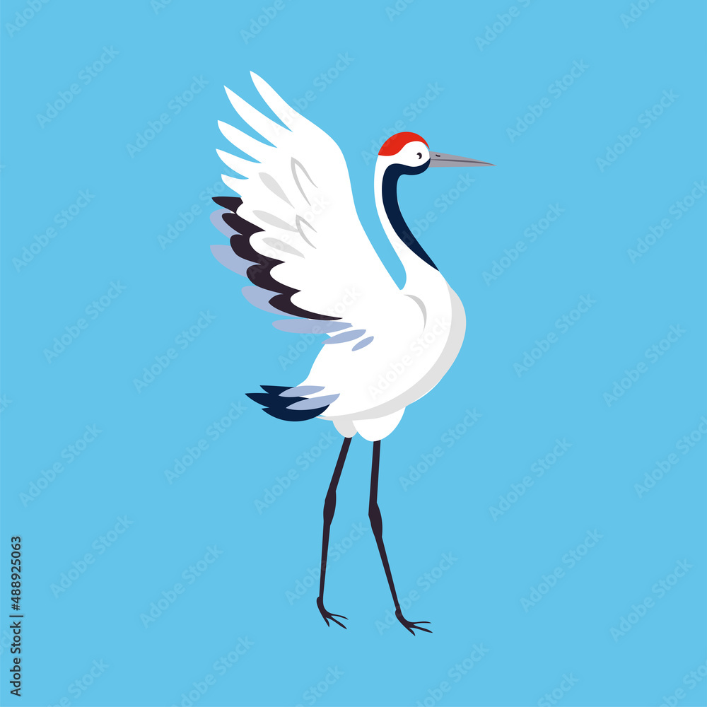Obraz premium Red Crowned Crane as Long-legged and Long-necked Bird Standing with Spread Wings on Blue Background Vector Illustration