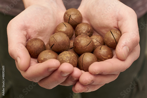 a man holds a handful of macadamia nuts in his palms close-up