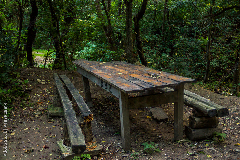 rough wooden table and banches in the forest