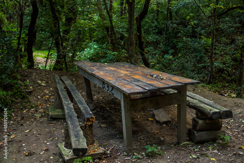 rough wooden table and banches in the forest