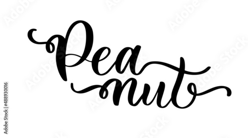 Peanut lettering logo vector illustration design template