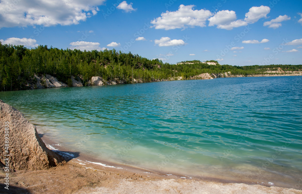Fototapeta premium beach with trees