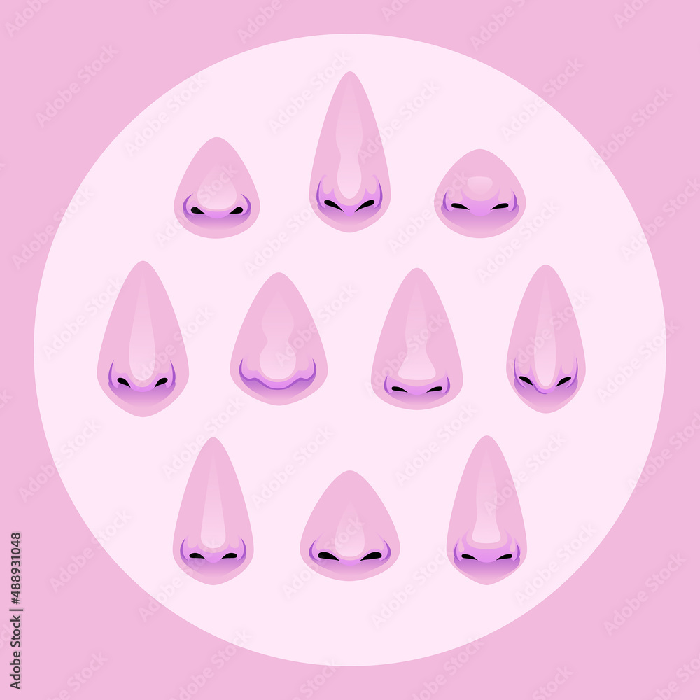 Set of Different Noses. Face Part Illustration. Vector illustration Set of Different Noses. Face Part Illustration. Vector illustration