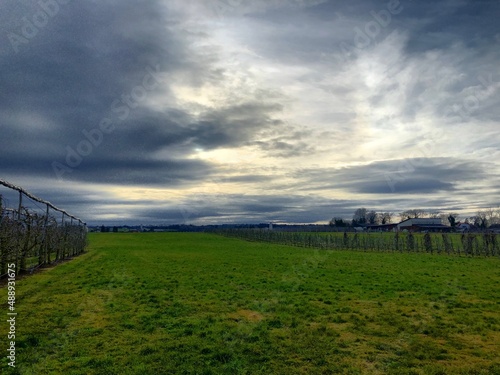 fence in the field