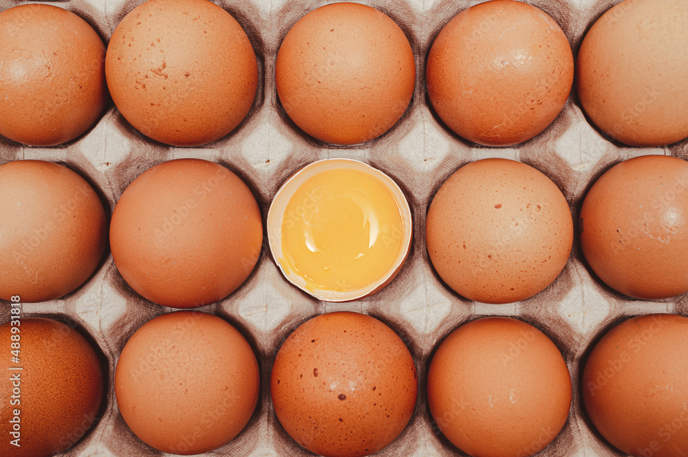 Broken egg with many eggs and yolk visible. Broken egg with many eggs and yolk visible.