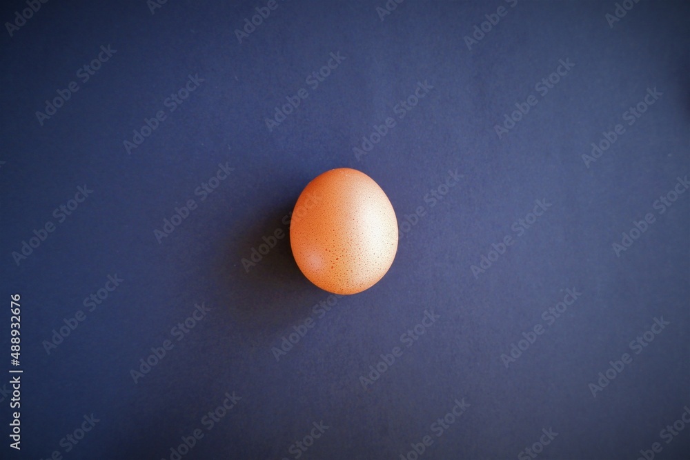 a hen's egg on dark background a hen's egg on dark background