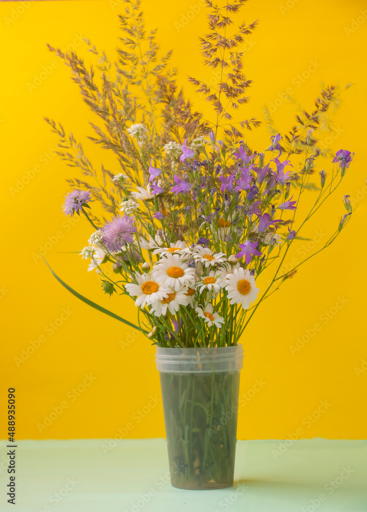 Bright colorful bouquet of wild flowers in a vase on a yellow background. Template for postcard or your design. Concept for Women's Day or Mother's Day, Hello Summer