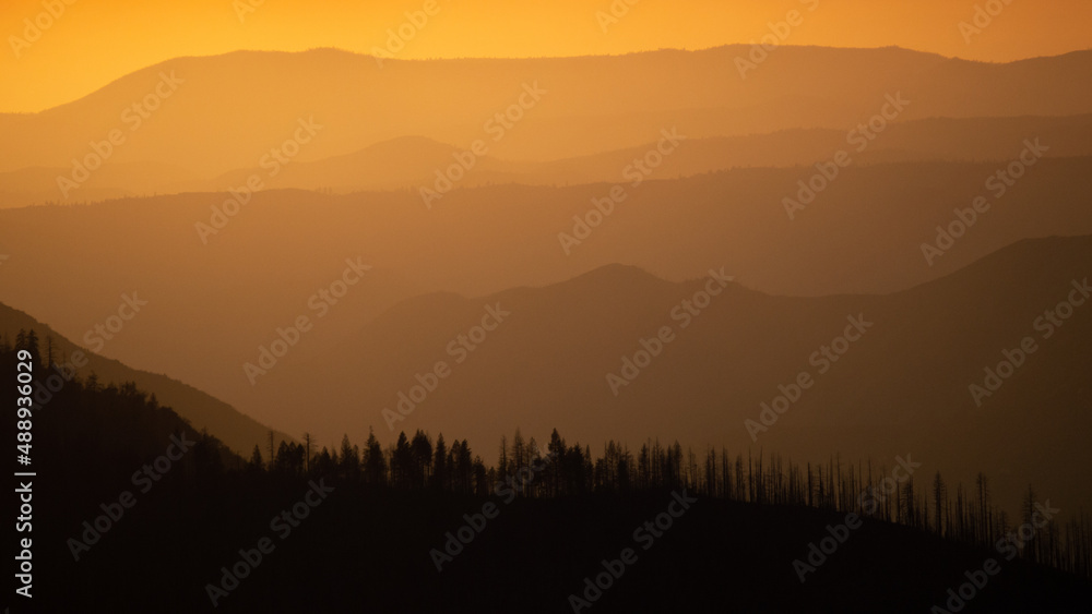Orange Yellow Sunset With Black Silhouette Of Pine Trees At Yosemite National Park Orange Yellow Sunset With Black Silhouette Of Pine Trees At Yosemite National Park