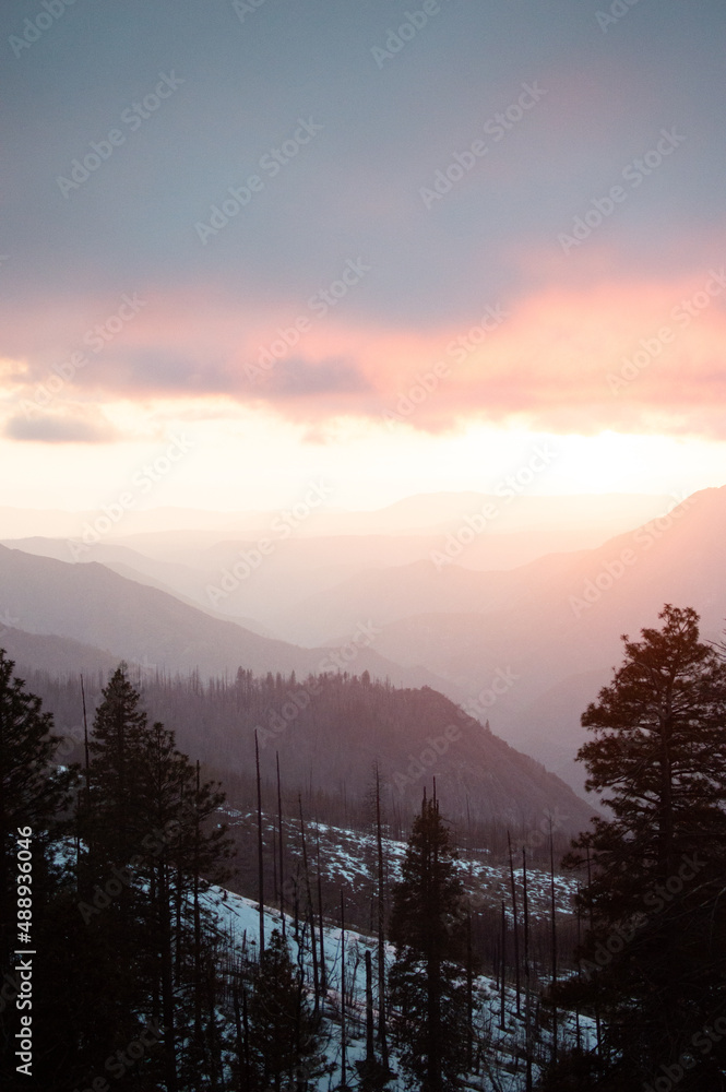 Obraz premium Burning Pink Orange Purple Sunset Yosemite National Park With Silhouette of Pine Trees And Redwoods