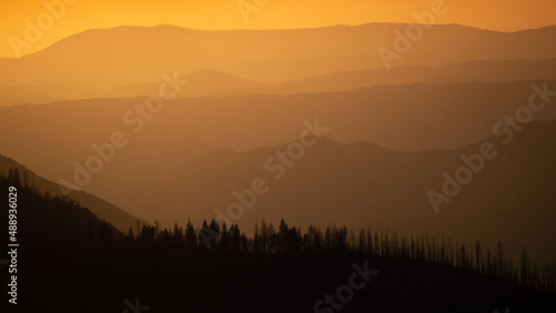 Orange Yellow Sunset With Black Silhouette Of Pine Trees At Yosemite National Park