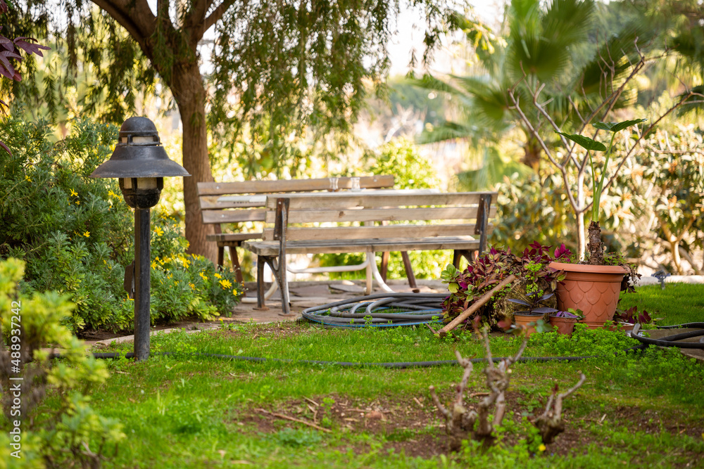 Garden arrangement. Various ornamental plants, flowers, trees and gardening tools in a garden. Large pot and flowers in selective focus. There are benches sitting out of focus. Garden arrangement. Various ornamental plants, flowers, trees and gardening tools in a garden. Large pot and flowers in selective focus. There are benches sitting out of focus.