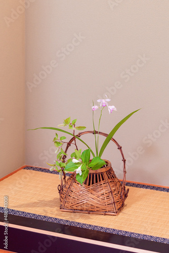 茶道の花