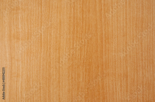 Light wooden oak texture