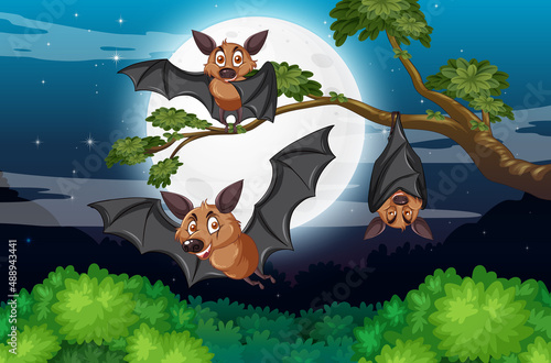 Group of bats in the forest at night