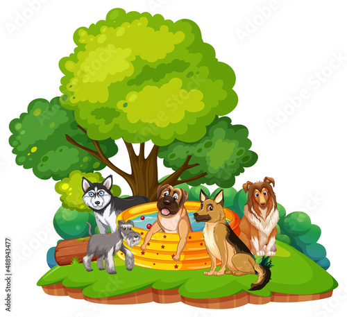 Many dogs bathing in the garden