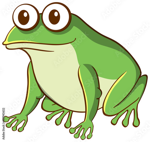 Green frog animal cartoon on white background