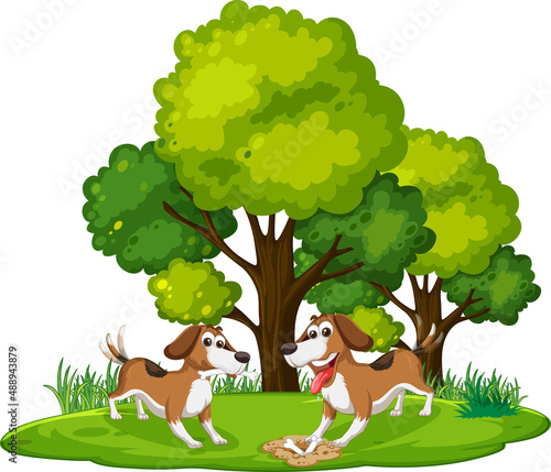 Two dogs digging hole on the ground