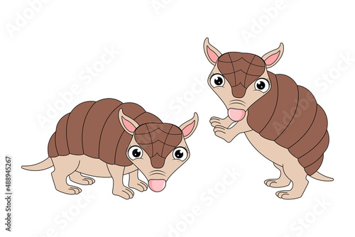 cute armadillo animal cartoon graphic