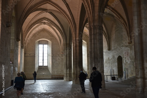 Voûtes du palais des Papes d'Avignon. France photo
