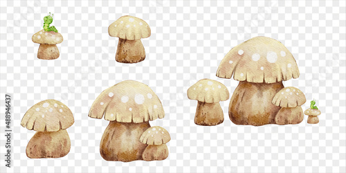 Vector Set of Mushroom and Caterpillar on transparent background, Watercolour illustration Cute cartoon elements of wild nature plant for Easter, Spring ,Autumn greeting card and Banner concept