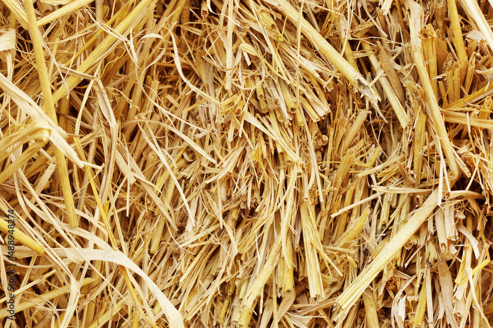 Dry straw texture for background and design art work, bales of cereal straw for cow and horse. Dry straw texture for background and design art work, bales of cereal straw for cow and horse.