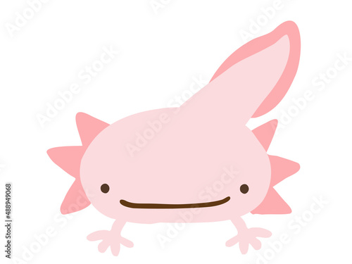 かわいいウーパールーパー／手描きイラスト素材