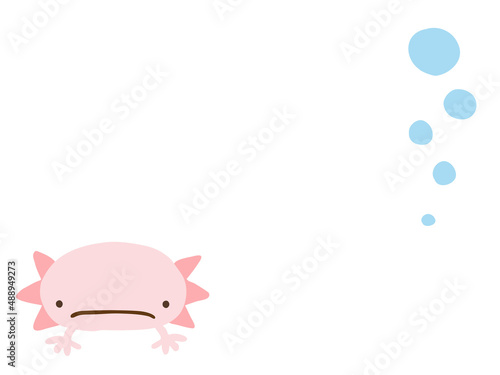 かわいいウーパールーパーとあぶく／手描きイラスト素材