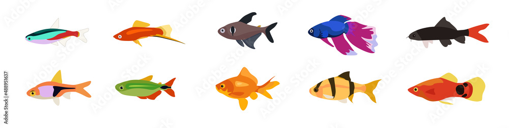 Set of lovely small fish from different form on white background. Vector  beautiful aquarium fish in cartoon style. Stock Vector