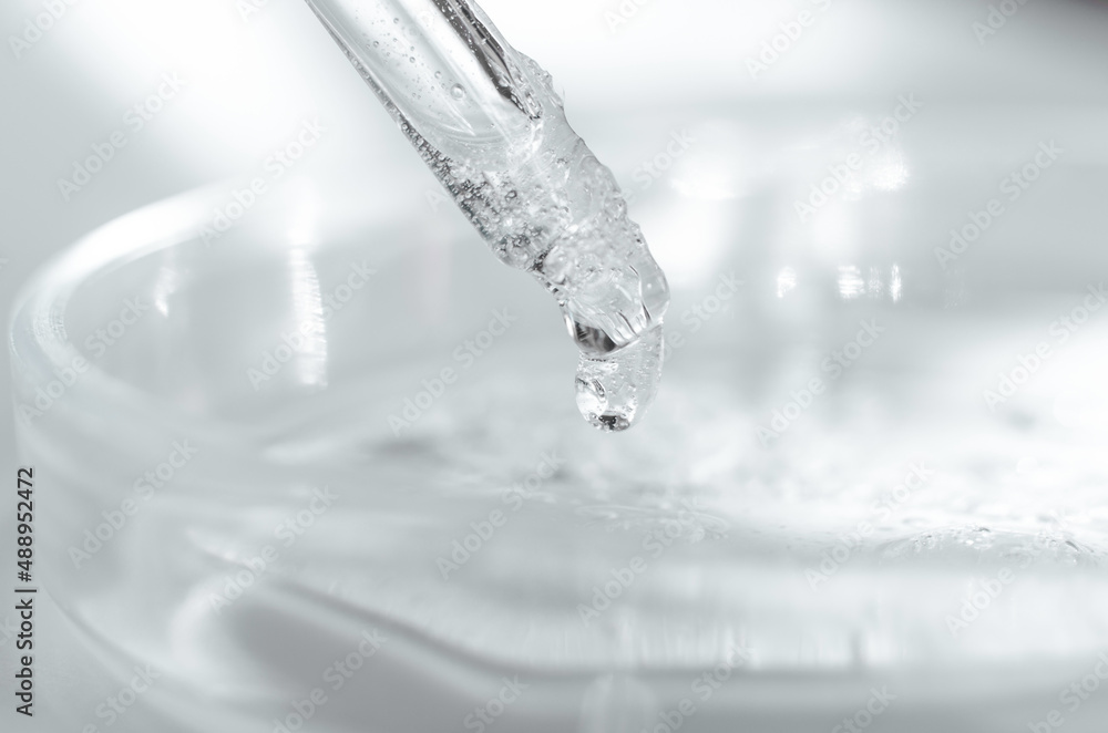 Close-up - the structure of the gel. Transparent cosmetic gel in a Petri dish. Laboratory research and development of cosmetics for body care Close-up - the structure of the gel. Transparent cosmetic gel in a Petri dish. Laboratory research and development of cosmetics for body care