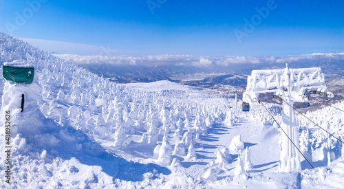 Snow monsters (soft rime) with cable cars passing through between them (Zao-onsen ski resort, Yamagata, Japan)