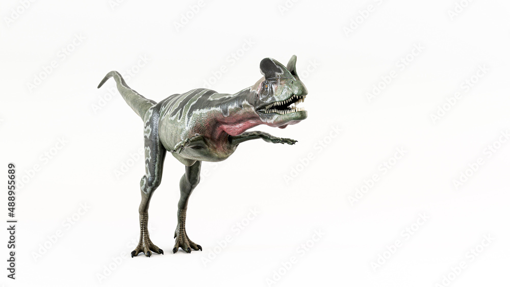 dinosaur isolated on white background dinosaur isolated on white background