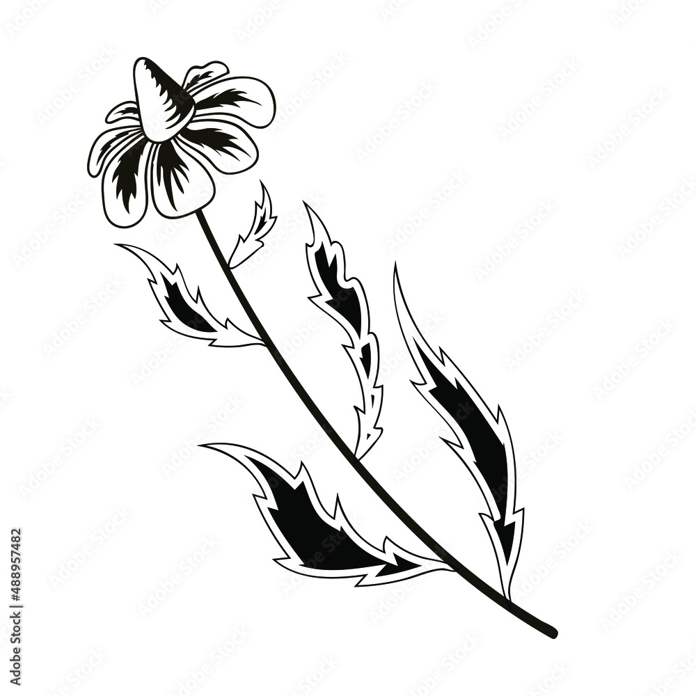 Fototapeta premium Black and white image of stylized colors. Stamp, print on fabric, design, background. Vector drawing.