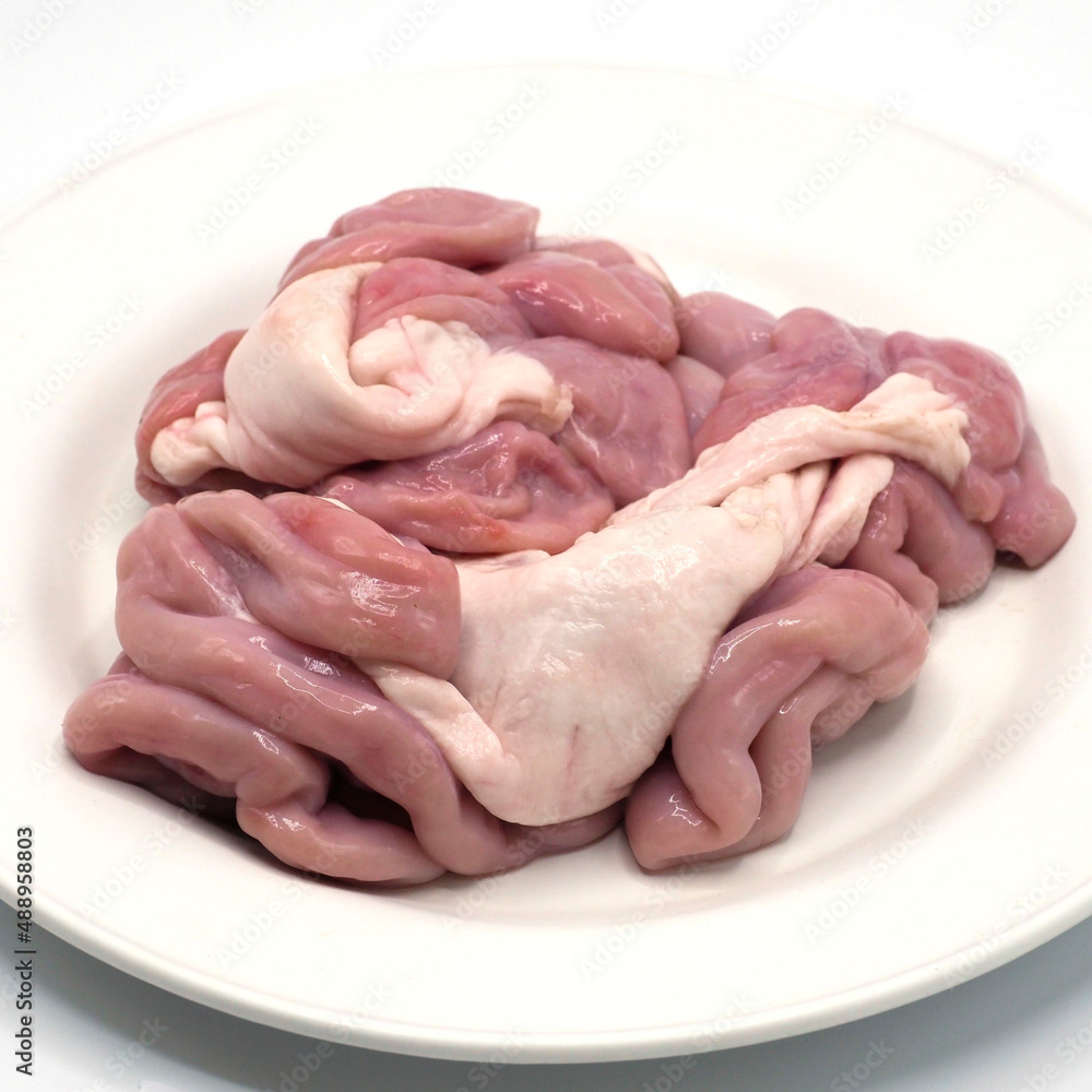 Uncooked pig intestine on white plate and white background. Uncooked pig intestine on white plate and white background.