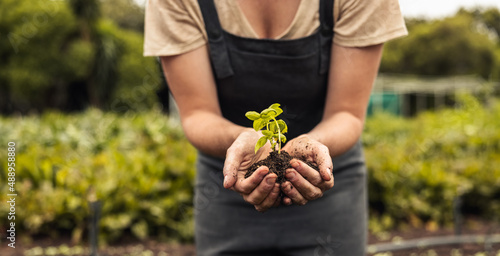 Unrecognizable woman holding a green seedling growing in soil photo