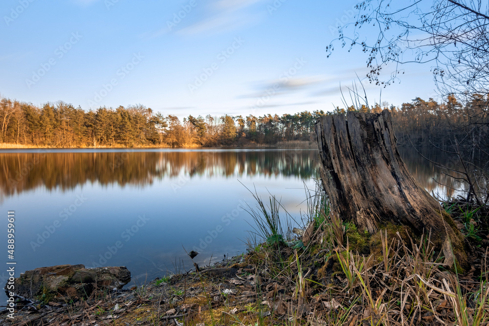 Fototapeta premium Am Kleewoog bei Gräfenhausen Sunset