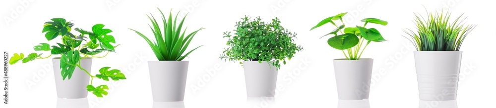 Set of Green plant in a pot at home. Artificial flower vase decoration Set of Green plant in a pot at home. Artificial flower vase decoration