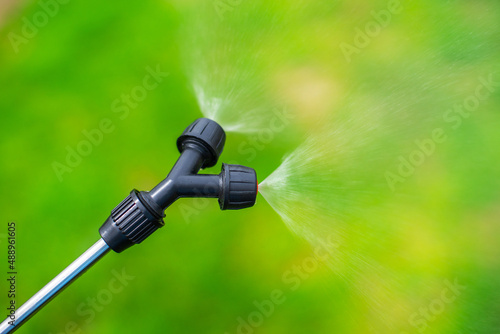 Farmer spraying vegetable green plants in the garden with herbic