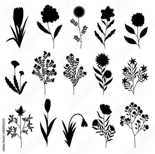 Silhouette of spring flowers icons. Botanical floral design set. Garden floral plants on white background. Good decoration for wedding invitations or scrapbook