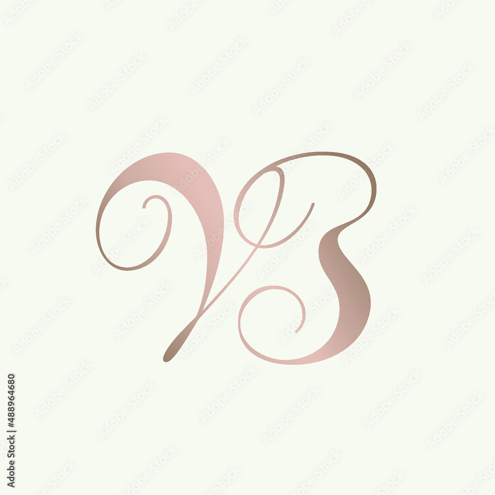 VB monogram logo.Calligraphic signature icon.Letter v and letter b.Lettering sign isolated on light fund.Wedding, fashion, beauty alphabet initials.Elegant, handwritten, luxury style. VB monogram logo.Calligraphic signature icon.Letter v and letter b.Lettering sign isolated on light fund.Wedding, fashion, beauty alphabet initials.Elegant, handwritten, luxury style.