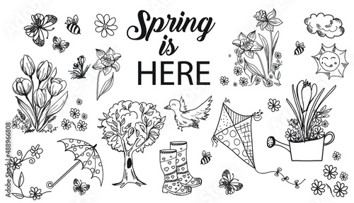 Spring vector hand-drawn elements, doodle. Flowers: daffodils, tulips, crocuses, butterflies and bees.