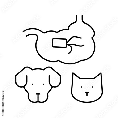 salmonellosis dog and cat line icon vector illustration