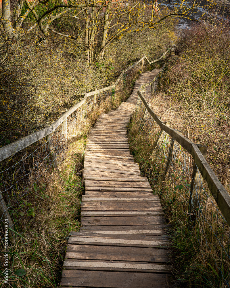 Obraz premium Wooden Walkway in Forest