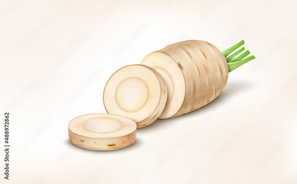 Half piece of parsnip with parsnip slices vector illustration Half piece of parsnip with parsnip slices vector illustration