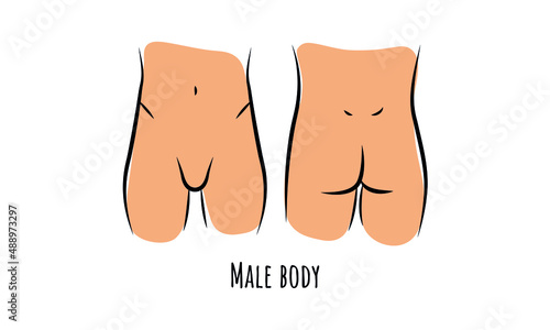 Male naked body. Front and Back human silhouette. Buttocks flat line icon. Men anatony. Vector