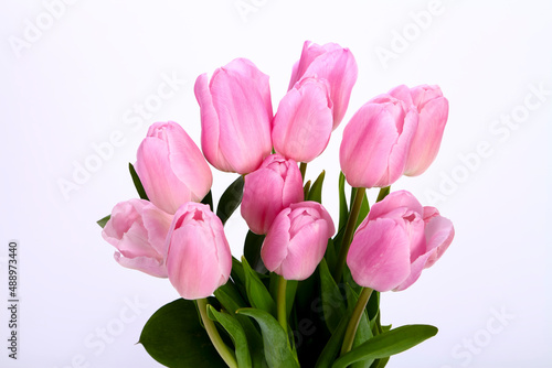Bunch of pink tulips tulipa isolated on a white background © Andrew Gardner